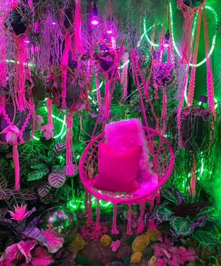 houseplants with pink light and hanging chair