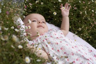 A baby lying in a bed of daisies