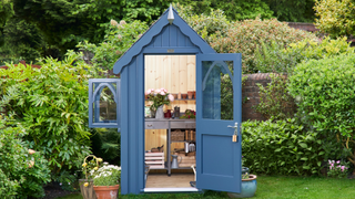 Blue shed in a garden