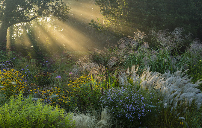 &quot;Jakobstuin&quot; - The garden of Jaap de Vries by Michael Volker / ©International Garden Photographer of the Year