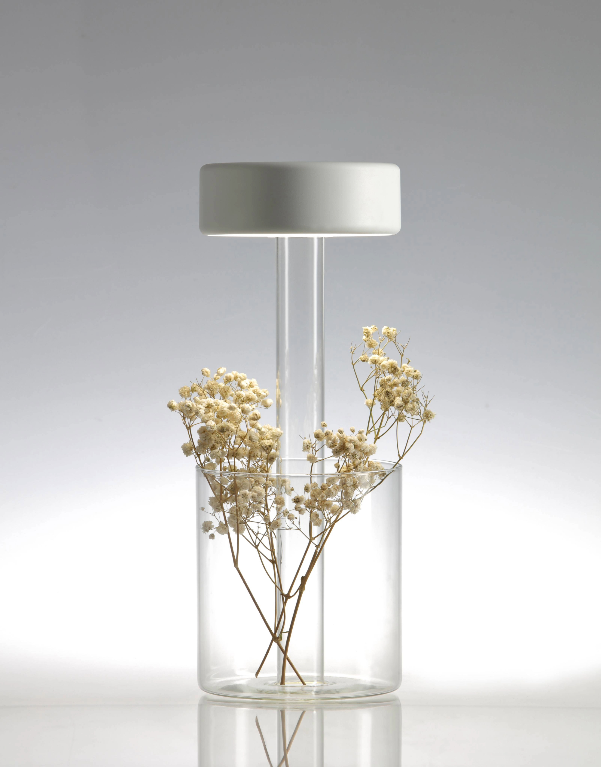Portable table lamp-vase hybrid in transparent
