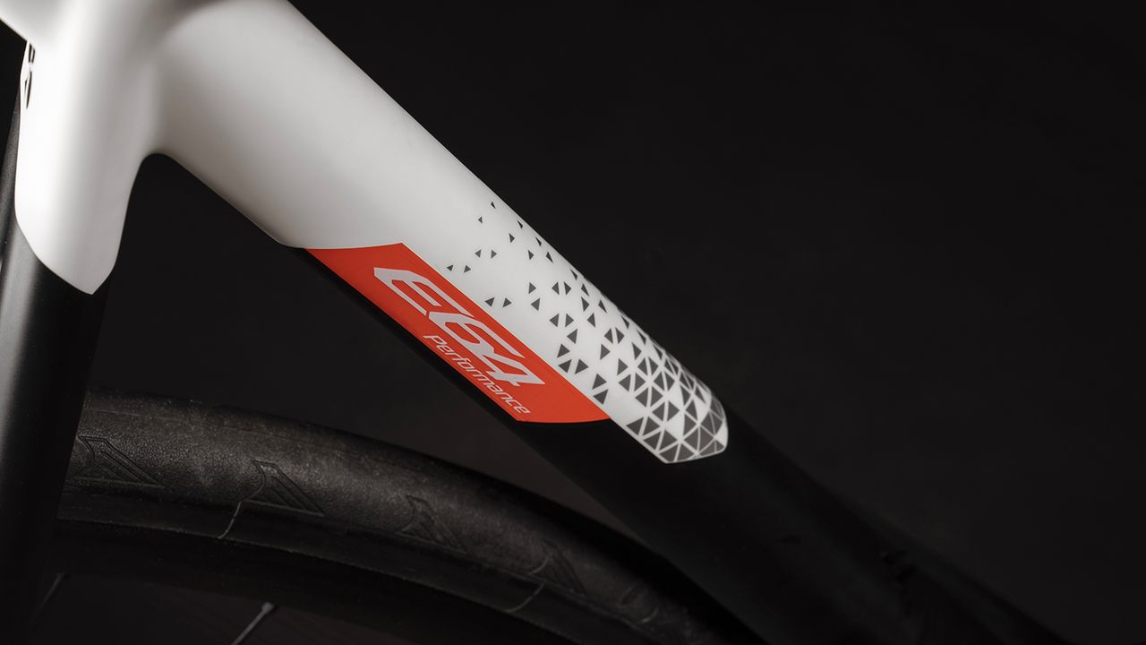A look at the down tube detailing