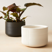Cecilia Ceramic Indoor/Outdoor Planters: $19