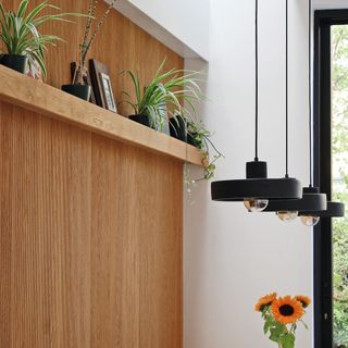 ribbed oak wall with shelf and plants, next to black pendant lights