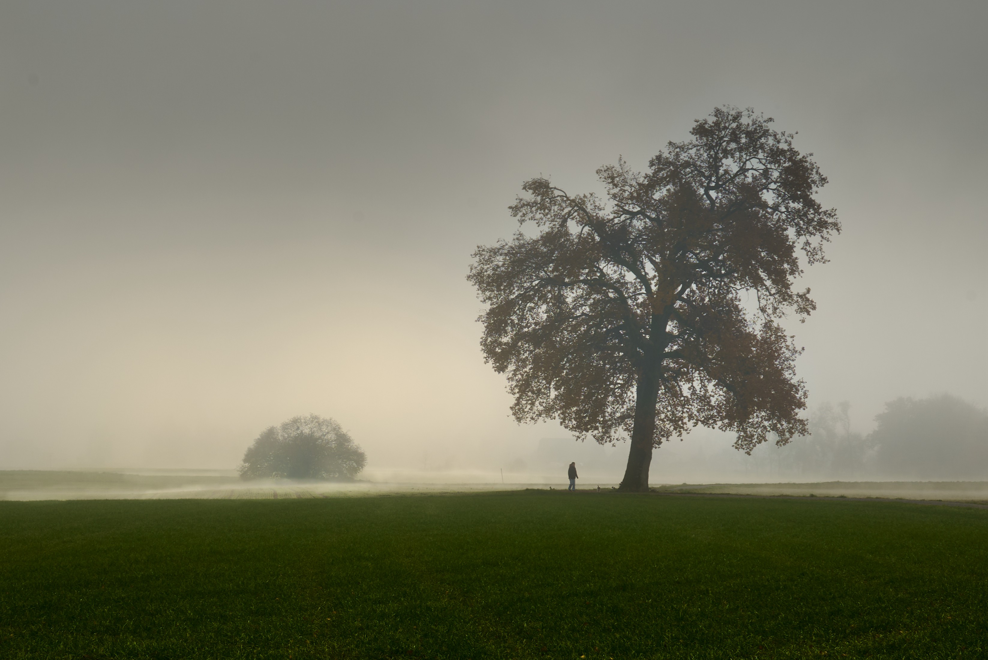 GuruShots March 2026