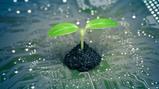 A green plant shoots up from soil which is placed on a circuit board