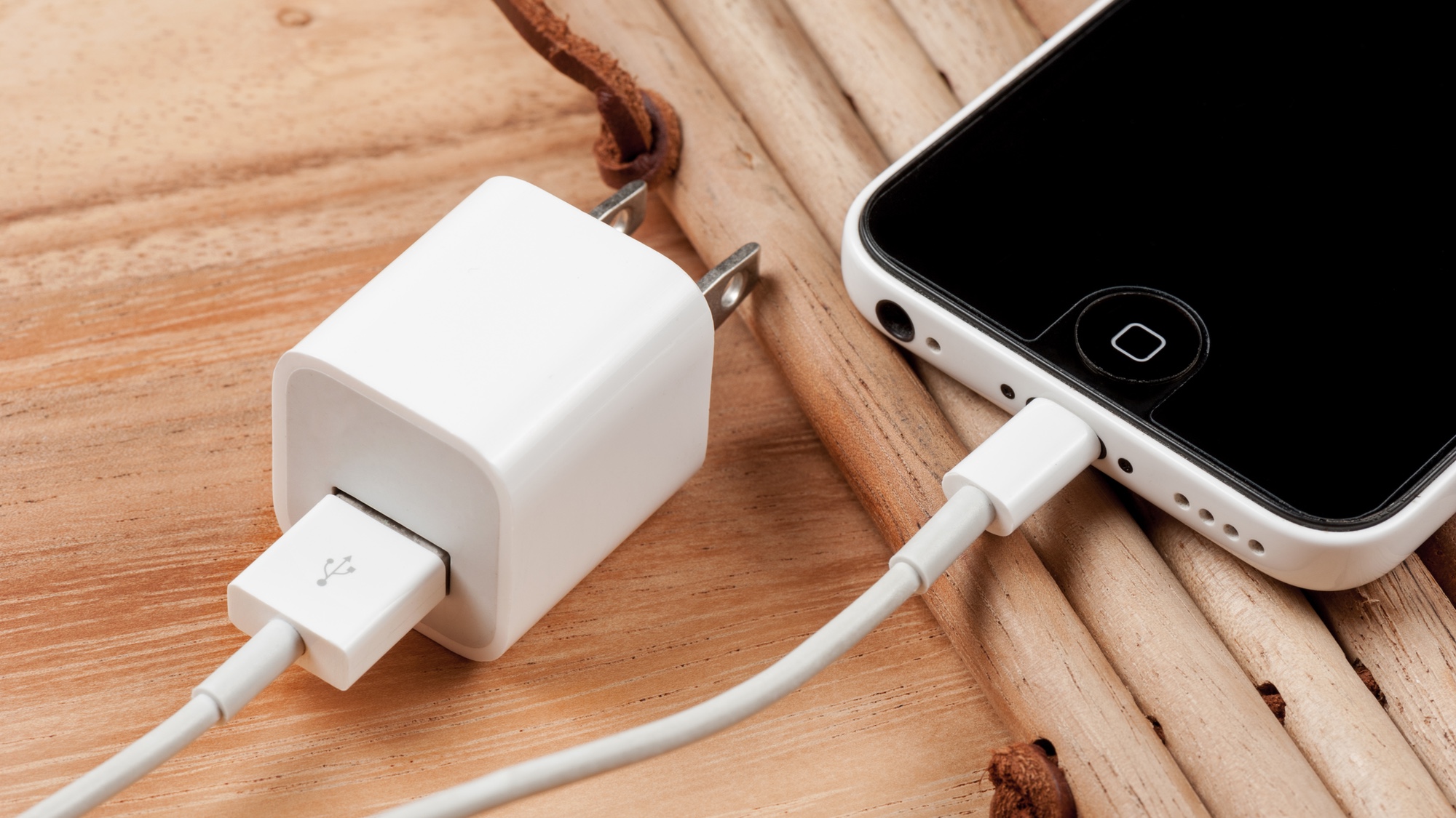 Apple iPhone lightning charger