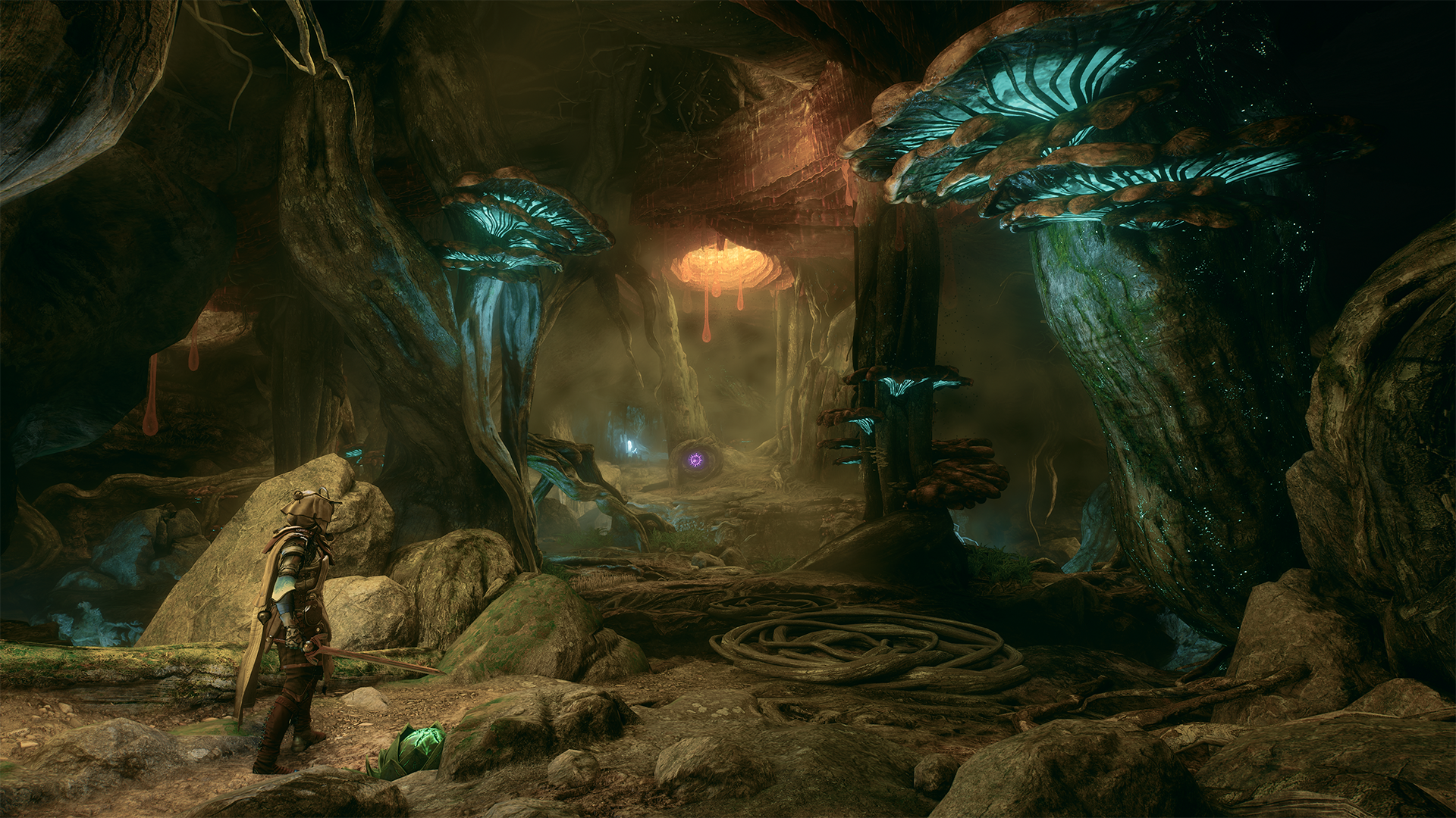 A Soulframe screenshot showing an underground area filled with vines and mushrooms.