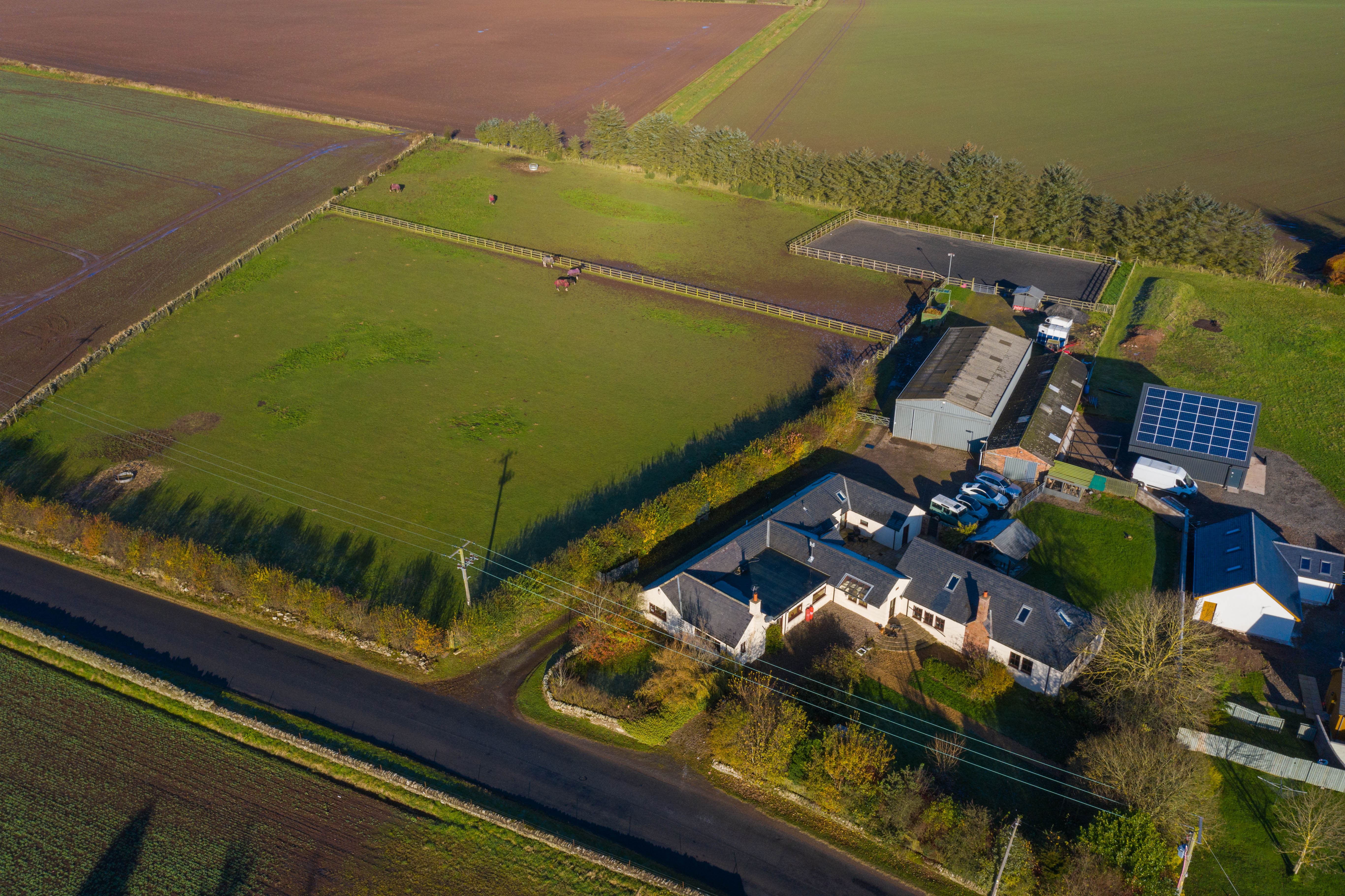 Bellrigg-Savills-7.jpg