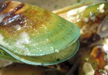 green-lipped-mussels.jpg