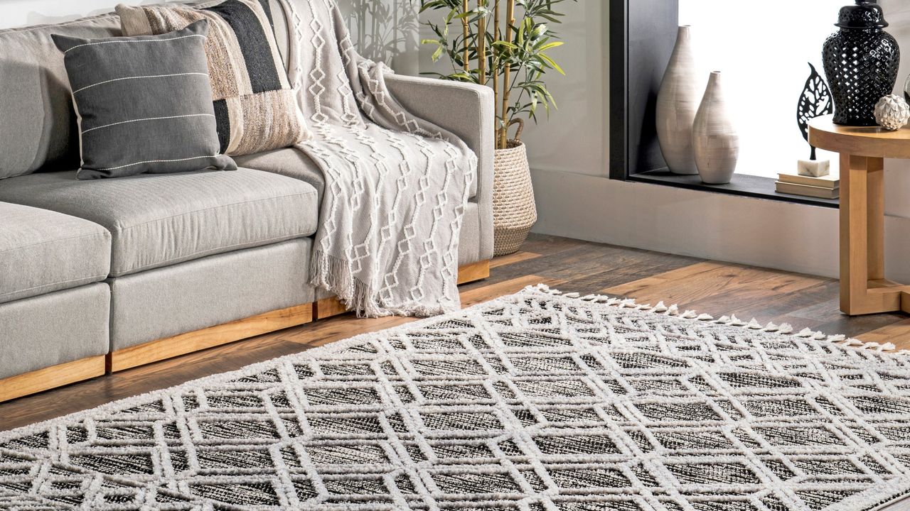 Living room with black and white rug and gray couch