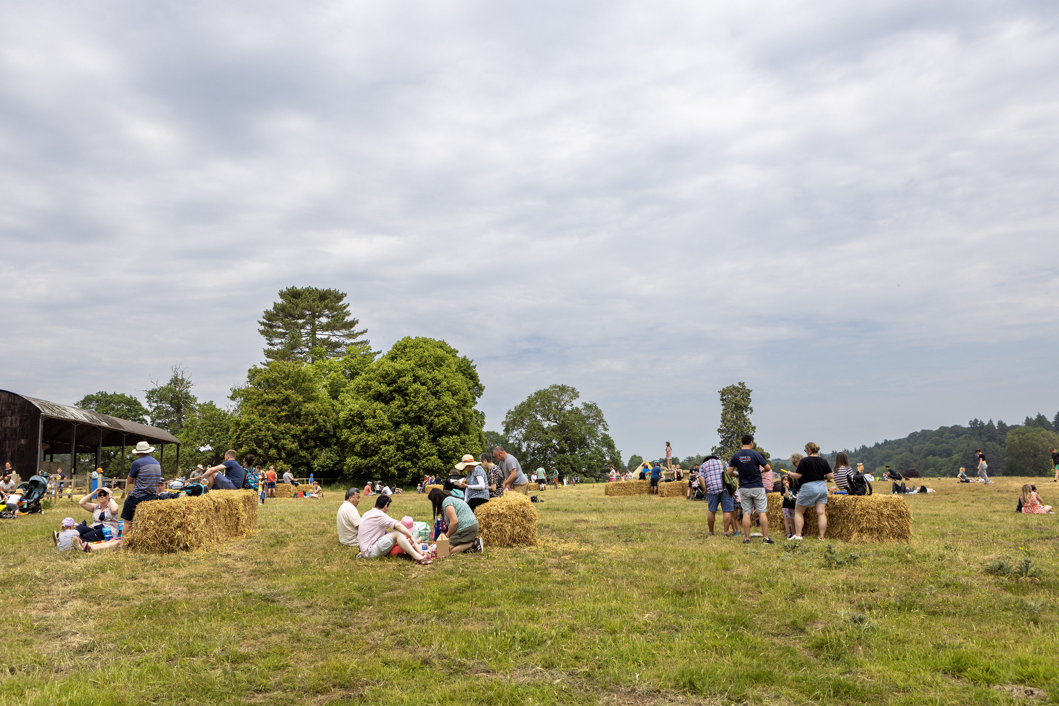 visitors on hay bales
