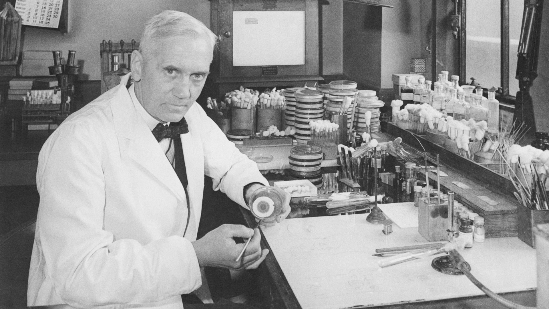 Alexander Fleming pictured in his laboratory