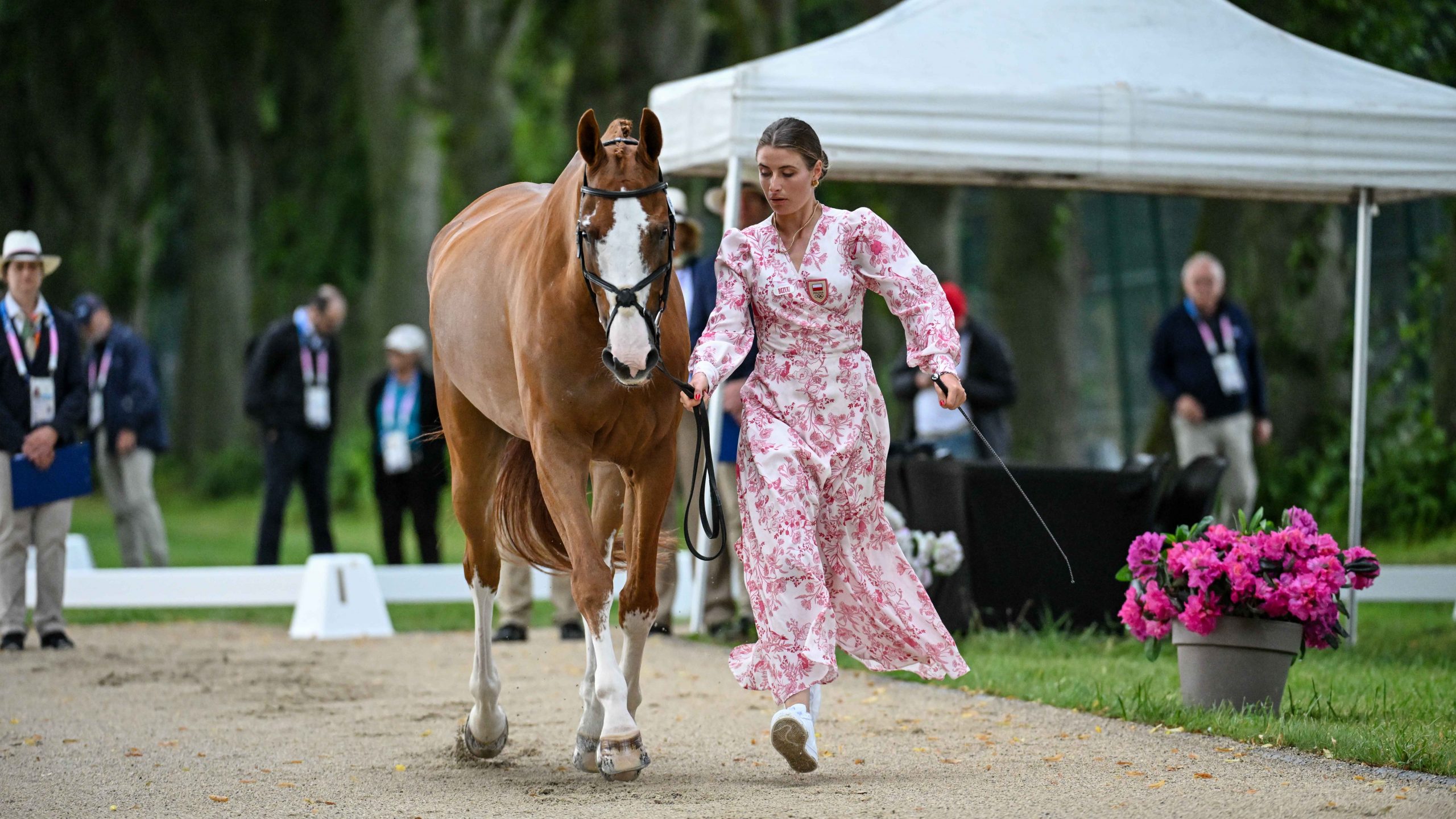 Olympic eventing first trot-up photos