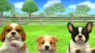 Three dogs in Nintendogs