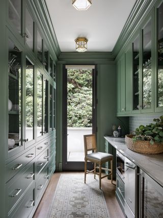 A galley kitchen all painted green