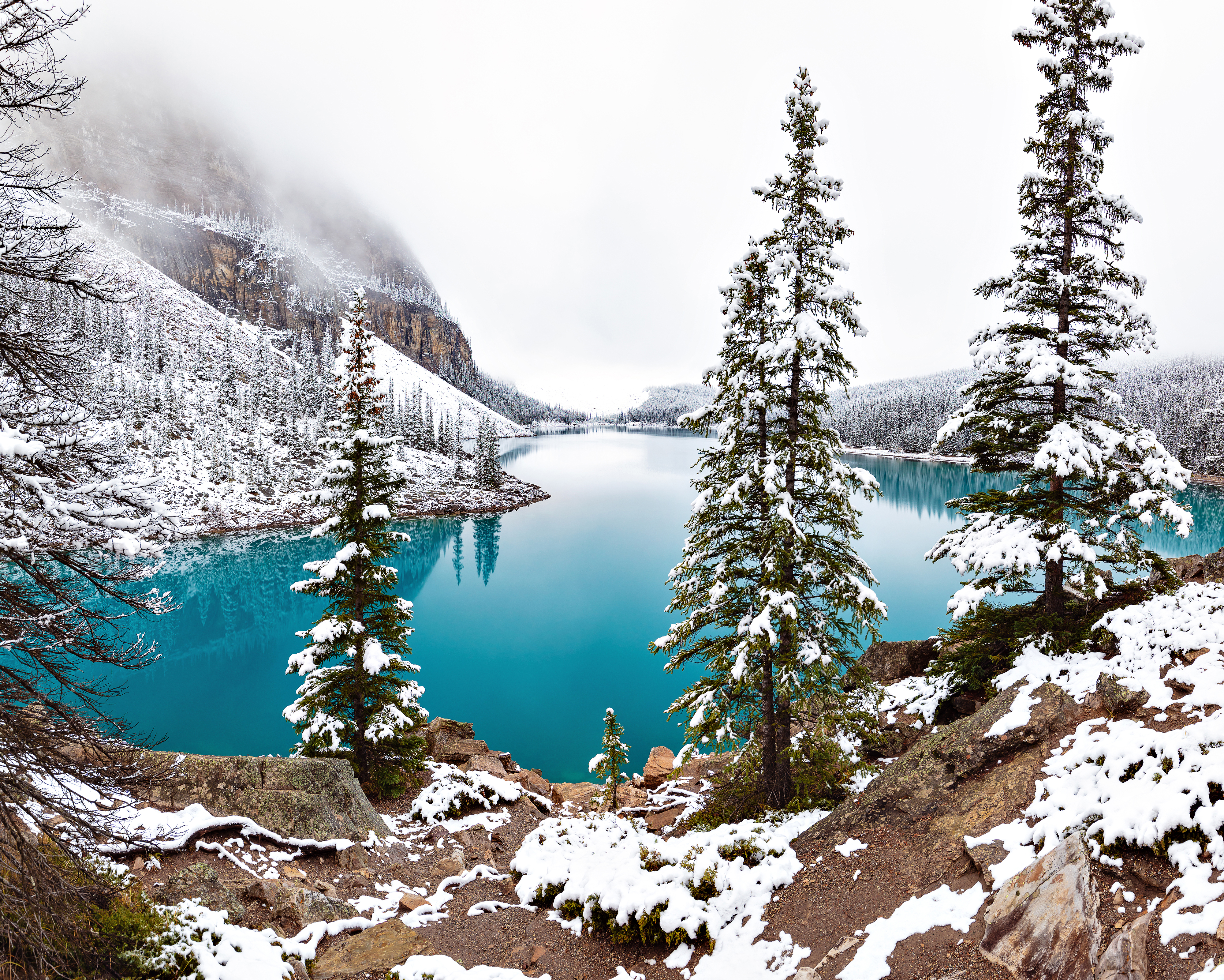 GuruShots - feb 2026