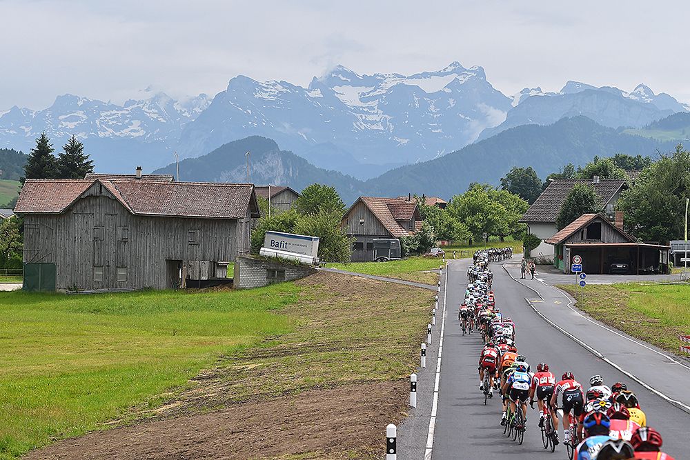The peloton at the Tour de Suisse