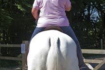 saddle7.jpg