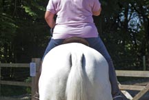 saddle7.jpg