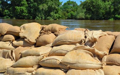 Sandbags on the banks of the river Elbe to protect against the flood at high tide in Magdeburg