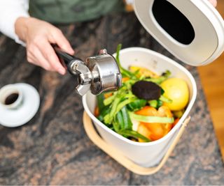 Kitchen compost bin