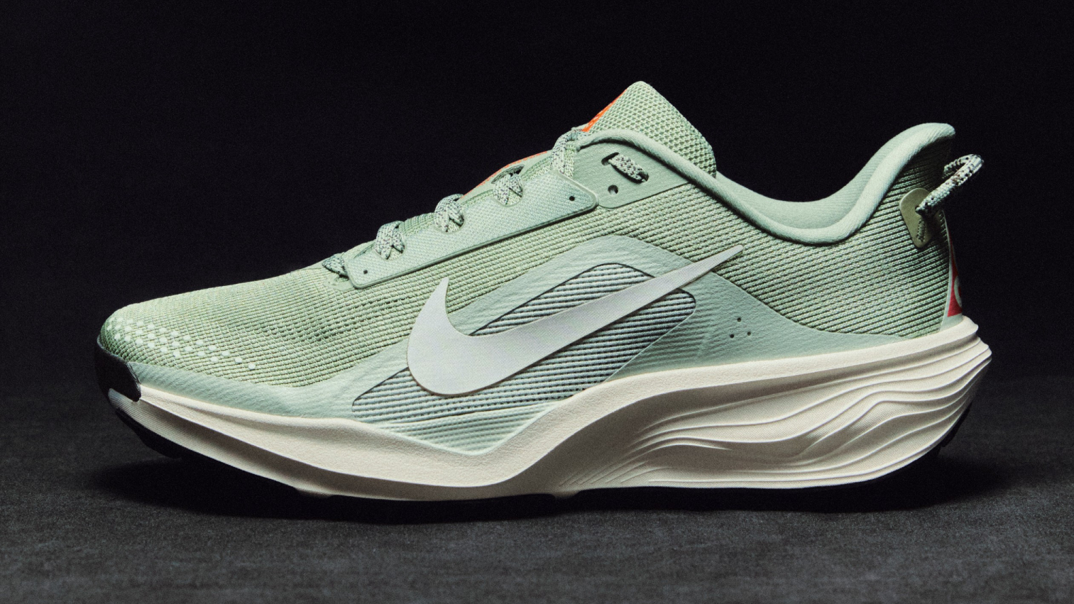 Nike ACG Pegasus Trail