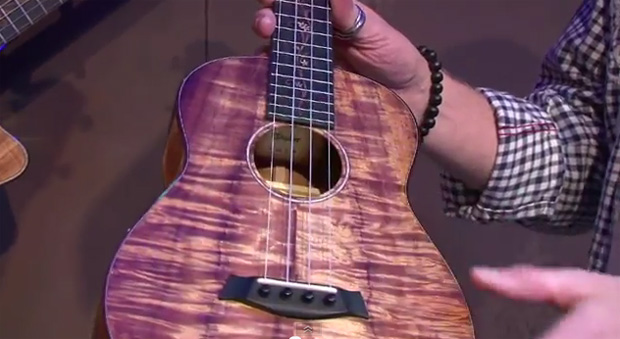 taylor ukulele price