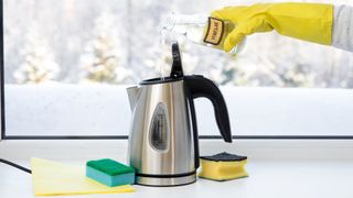 person showing how to descale a kettle with vinegar for a natural cleaning solution