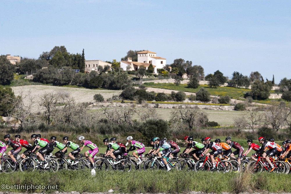The peloton loops around Palma