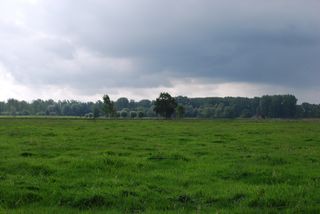 Medieval wetlands site in Belgium