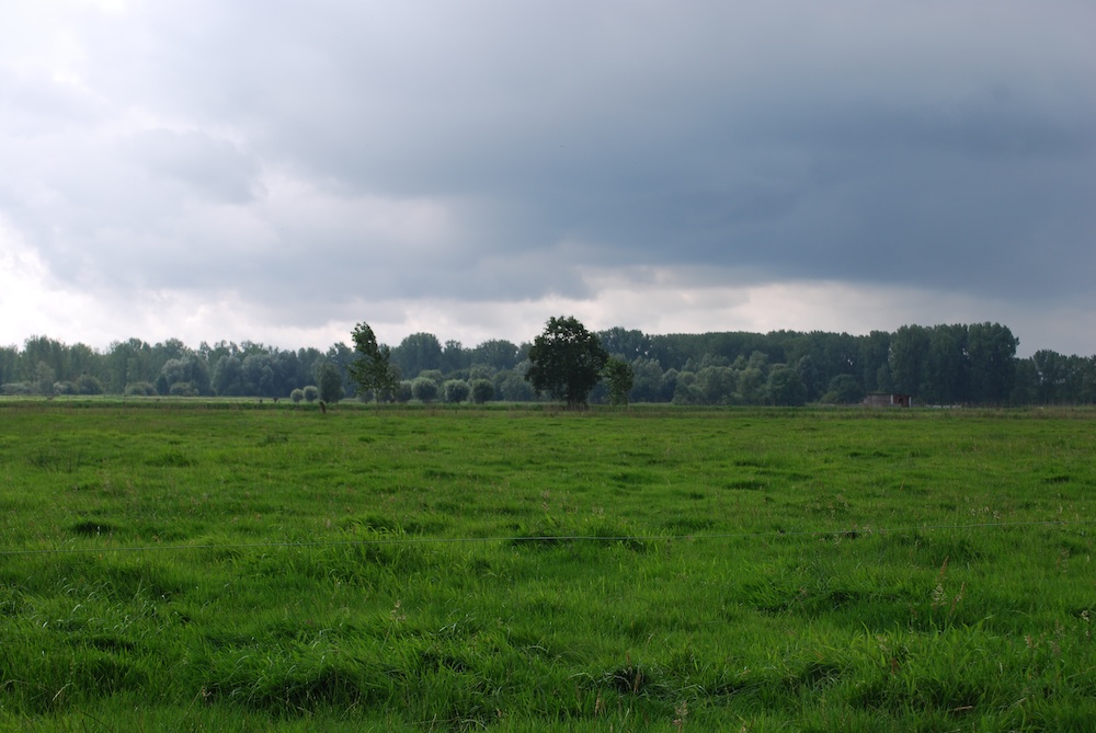 Medieval wetlands site in Belgium
