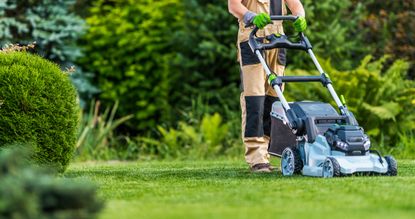 A man using one of the best lawn mowers on a lawn by a hedge