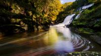 Moss-covered forest waterfall cascading into a calm, reflective pool surrounded by sunlit autumn trees