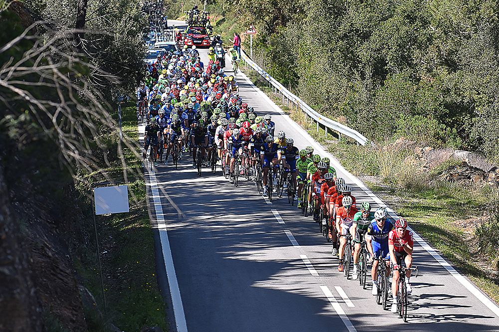 The peloton in action during stage 4.