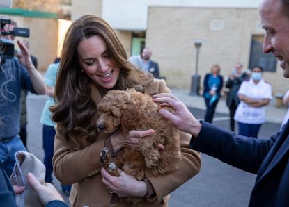 Prince William, Duke of Cambridge and Catherine, Duchess of Cambridge meet new therapy puppy Alfie, an apricot cockapoo