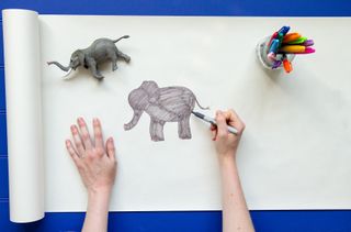 Colour in the elephant