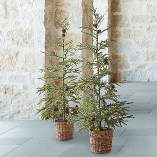 Lit Faux Pine Trees in Basket