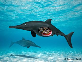 This mama-to-be died before giving birth to up to eight baby ichthyosaurs.