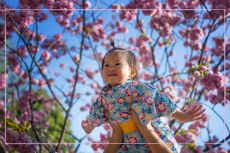 A baby being held up towards a cherry blossom tree