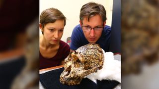 Study researchers Angeline Leece (left) and Jesse Martin look at the skull.