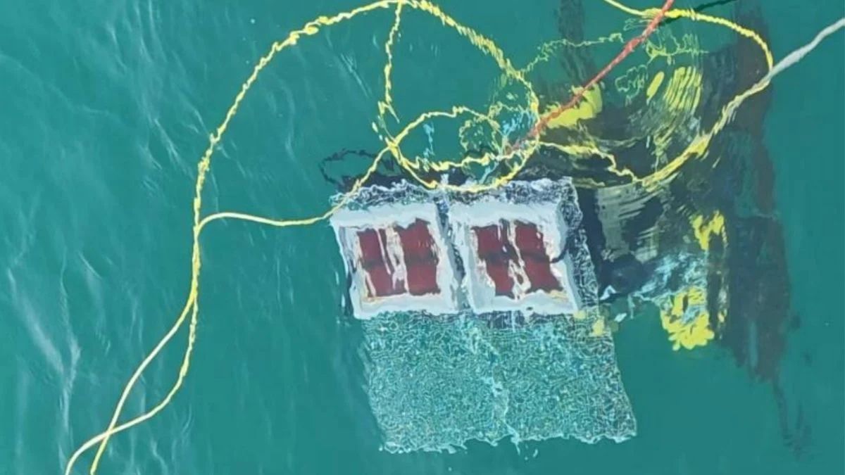 Prototipo de celdas solares submarinas siendo probadas en el Mar de China Meridional