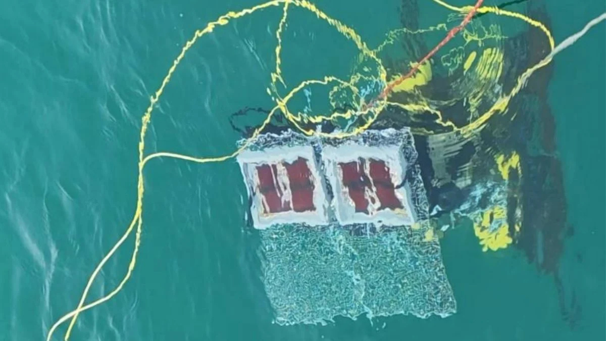 An underwater solar panel being tested