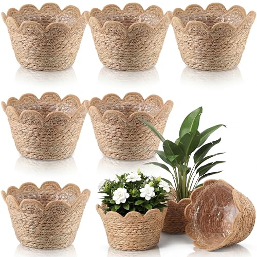 Aceorbit 6 Pcs Scalloped Seagrass Plant Basket With Plastic Liners Rattan Woven Plant Basket Wicker Planter for Indoor Outdoor Flower Pots Cover and Rustic Farmhouse Boho Room Decor (medium)