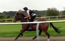 Michael Owen racing