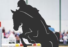 silhouette_rider.jpg