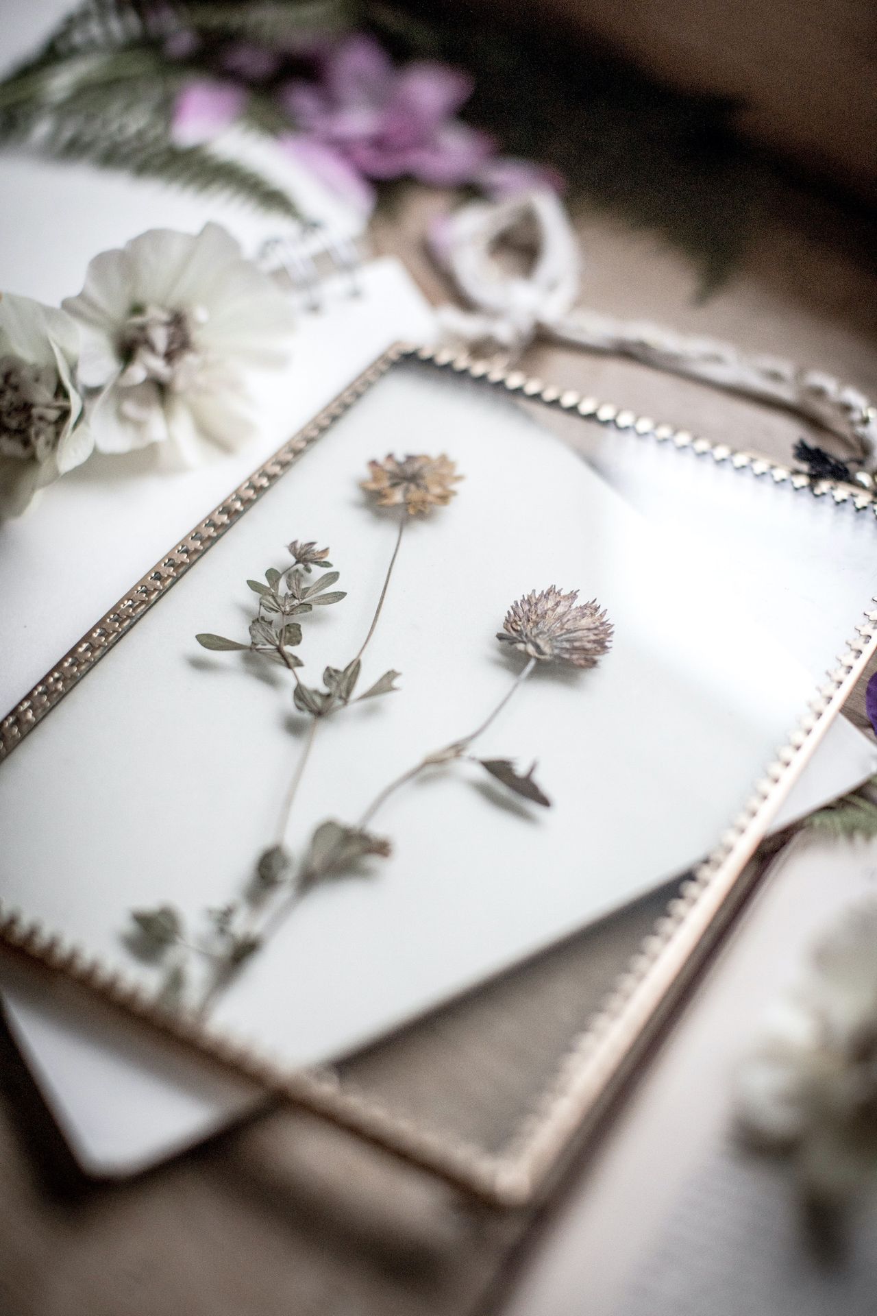 How to click flowers with their views in books and artwork