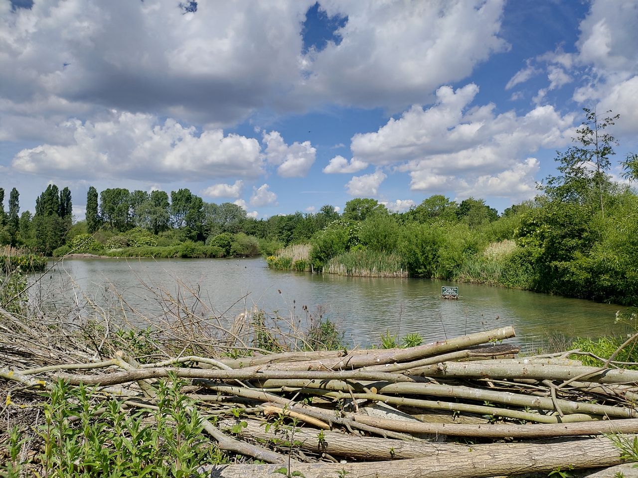 The ZenFone 6 doesn&rsquo;t capture quite as much detail as the best 12MP sensors, but it does okay. Image credit: TechRadar