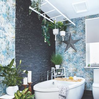 bath with plant ladder above