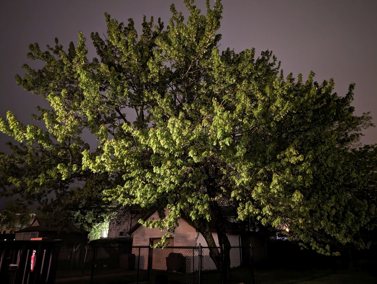 Google Pixel 8 Pro low light sample.